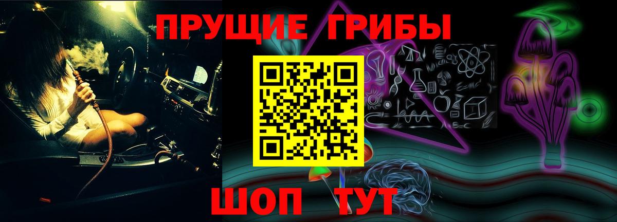 где можно купить наркотик  Вход с VPN  Знаменск  Псилоцибиновые грибы Cubensis 